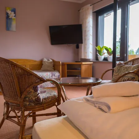 Ski Willa Apartament