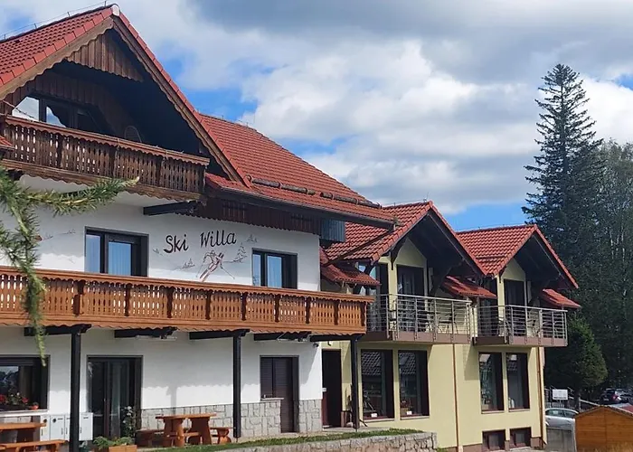 Ski Willa Апартаменты *